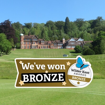 St Michael's celebrates WilderKent Award